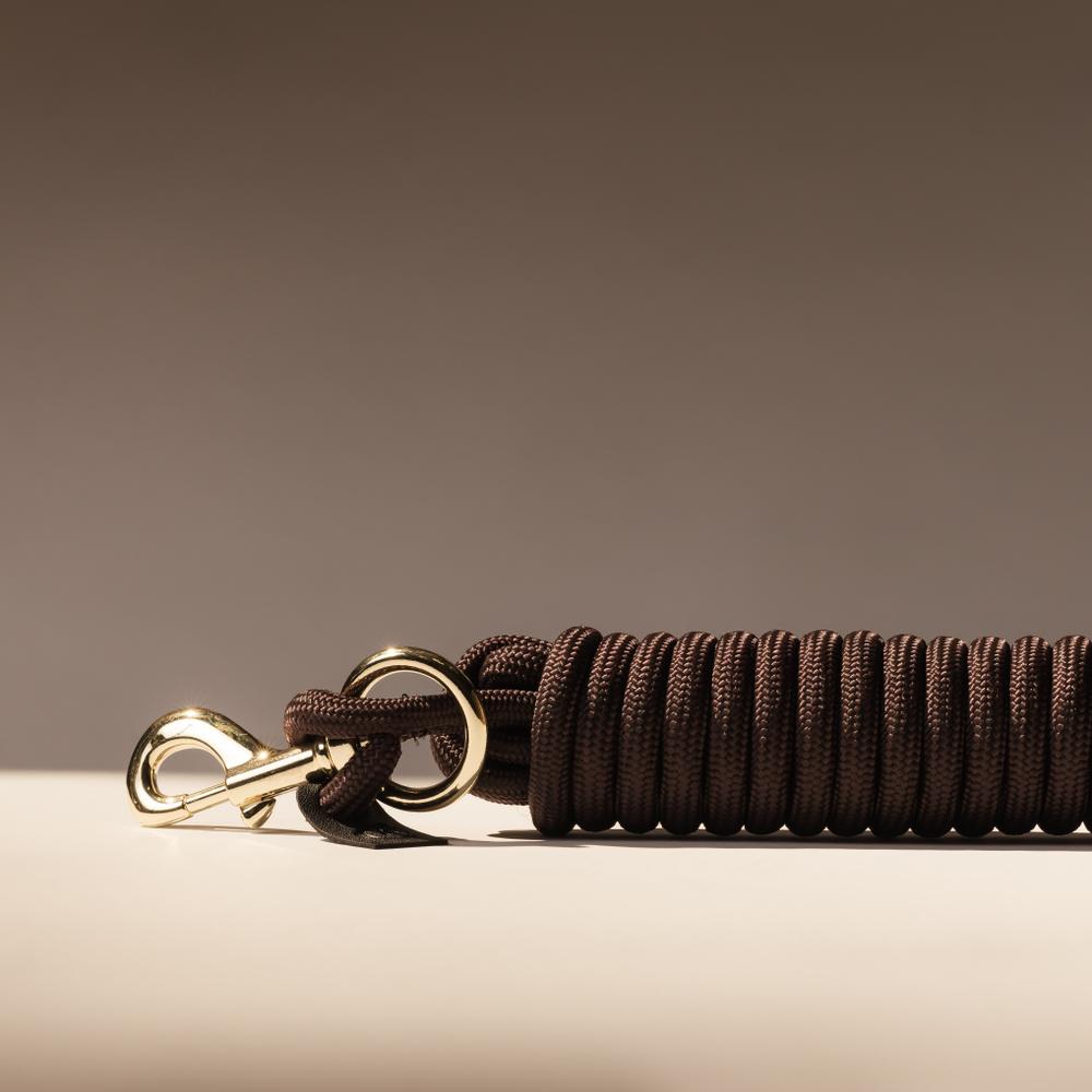 Halters & Leads